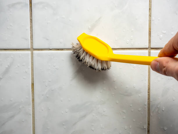 Best Preventive Mold Services in Arcade, GA