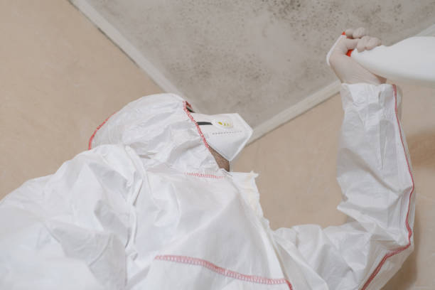 Best Crawl Space Mold Remediation in Arcade, GA